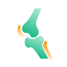 Bone